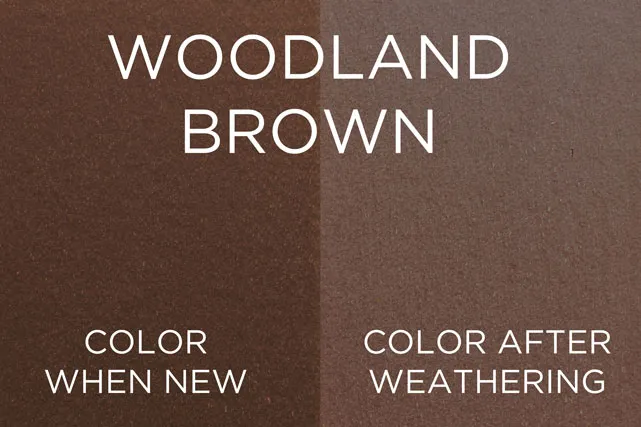 Woodland Brown