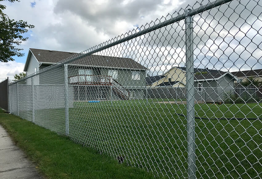Small Chain Link Fence