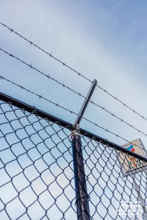 Chain Link Fence