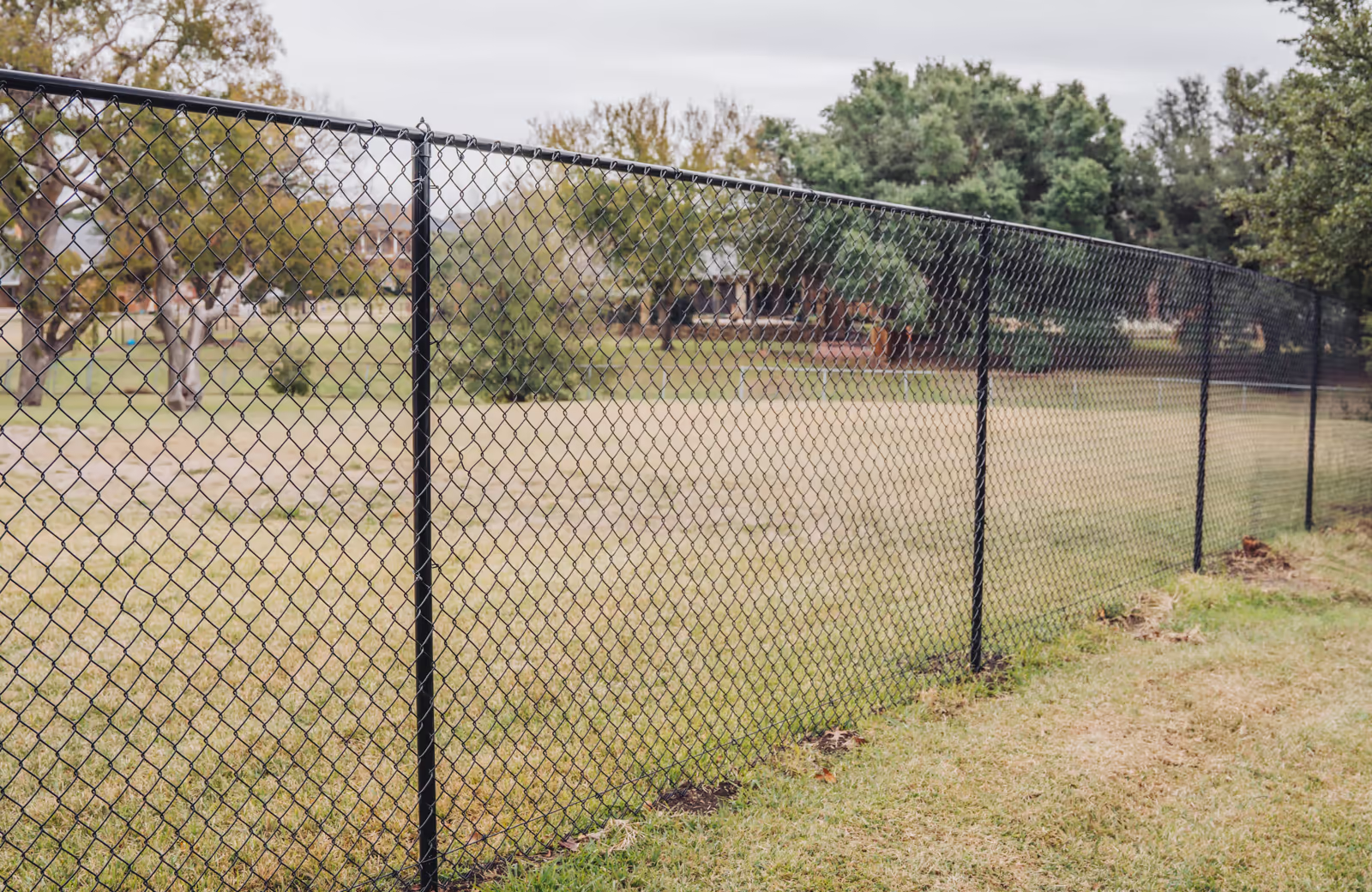 Chain Link Fencing