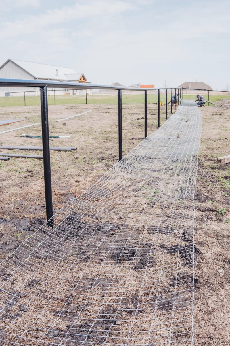Texas Select Fencing of West Texas - pipe-fences